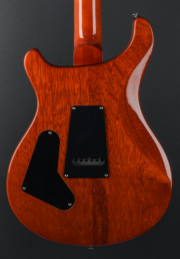 SE Custom 24 &