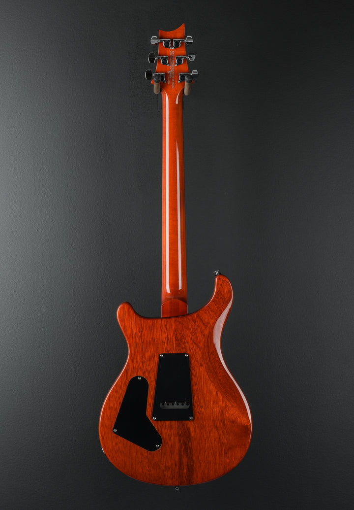 SE Custom 24 &