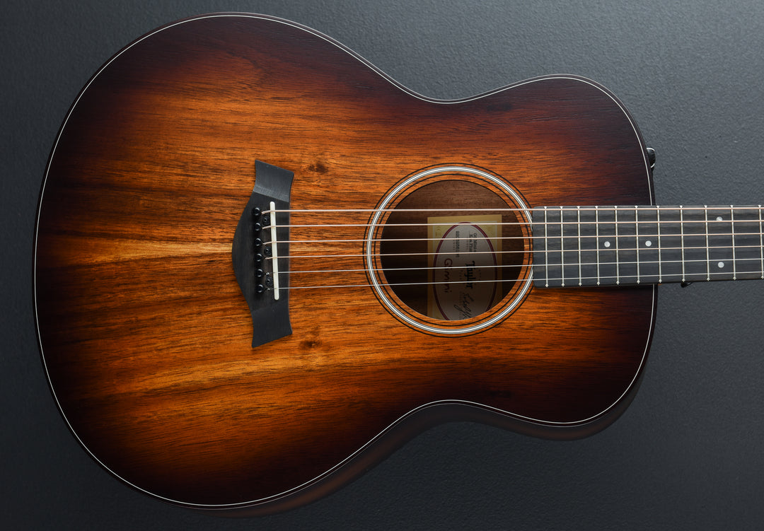 USED GS Mini-E Koa Plus &