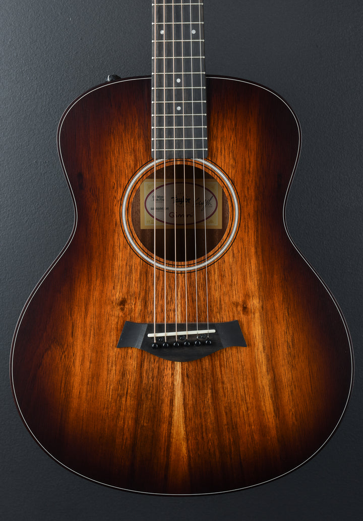 USED GS Mini-E Koa Plus &