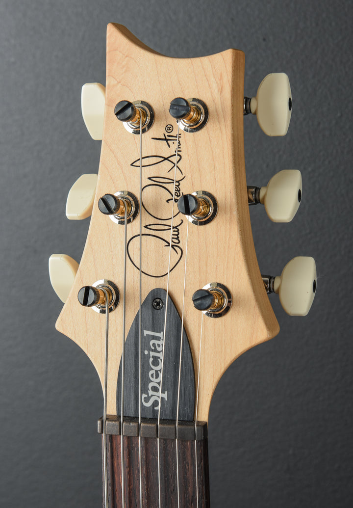 Swamp Ash Special - McCarty Tobacco Sunburst