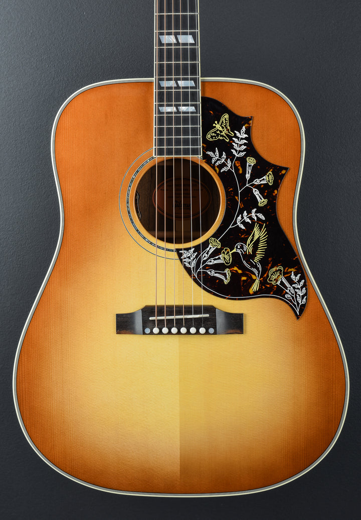 Hummingbird Elegant Koa - Honey Burst