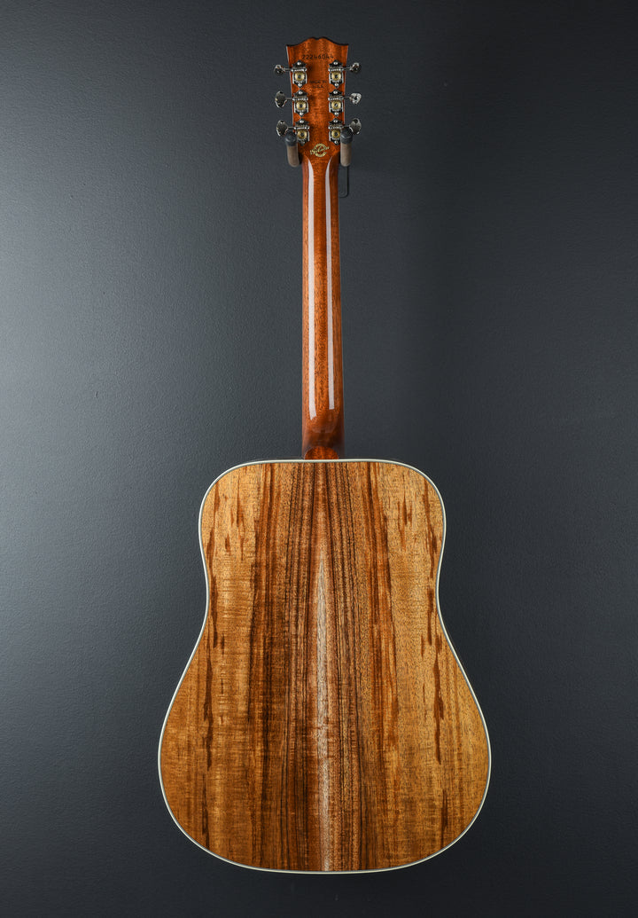 Hummingbird Elegant Koa - Honey Burst