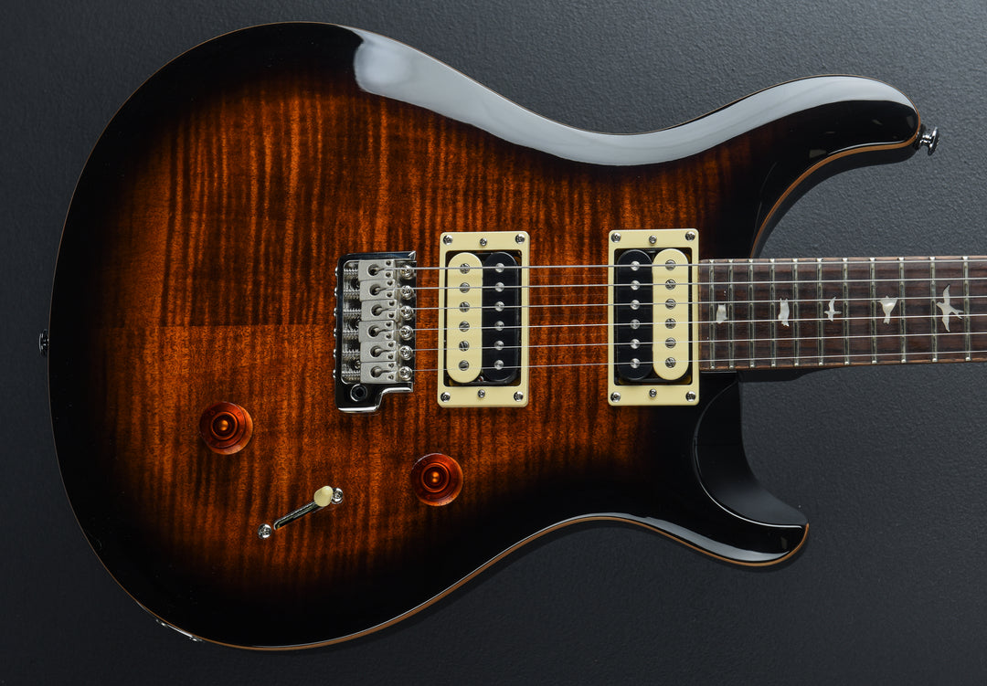 SE Custom 24 &