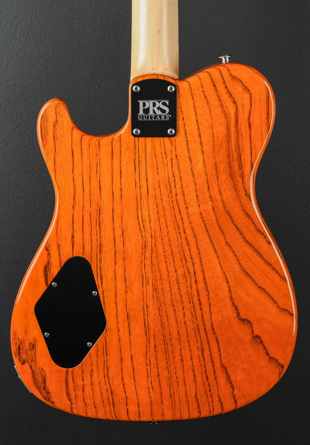 NF53 - Orange Tabby