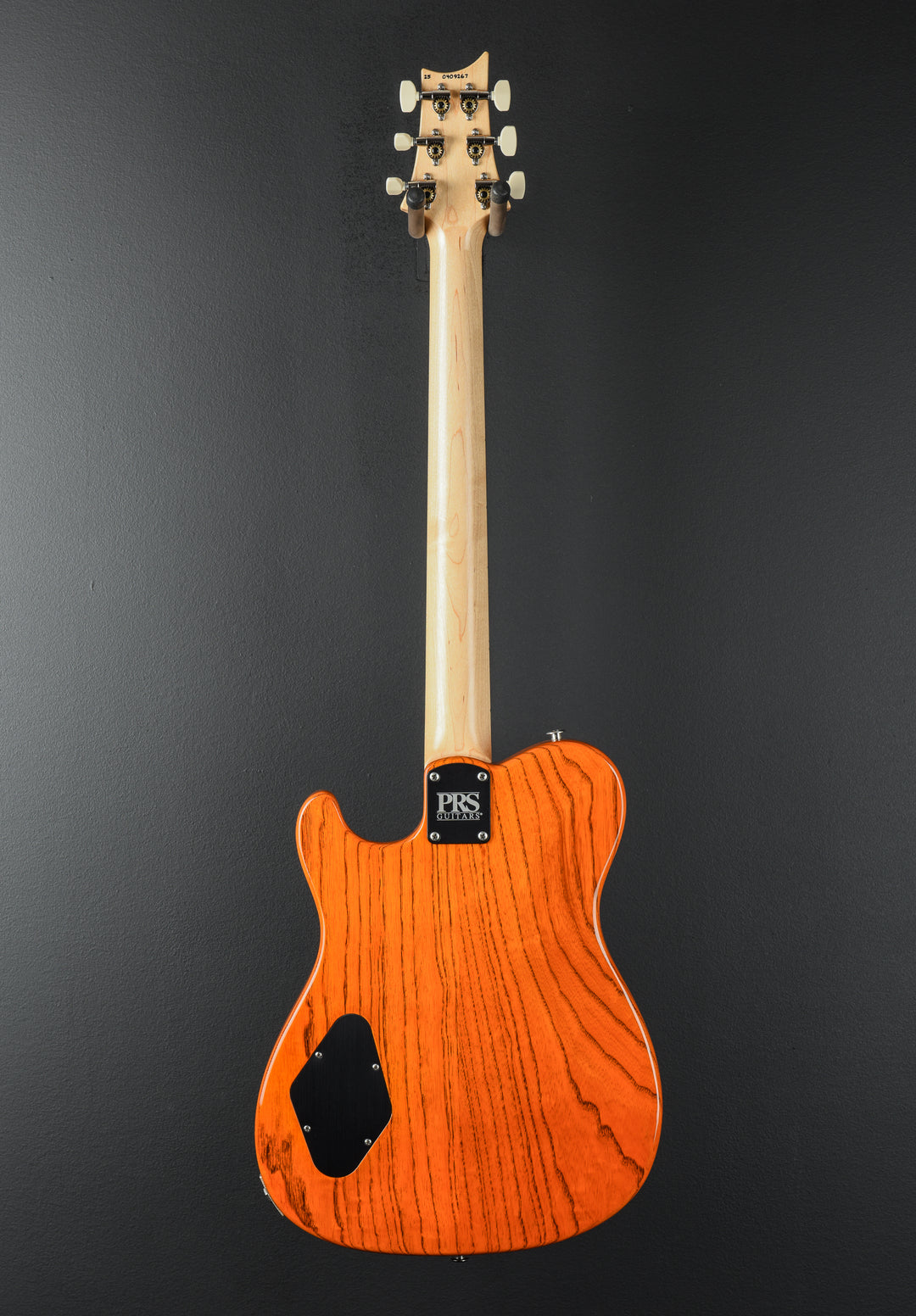 NF53 - Orange Tabby