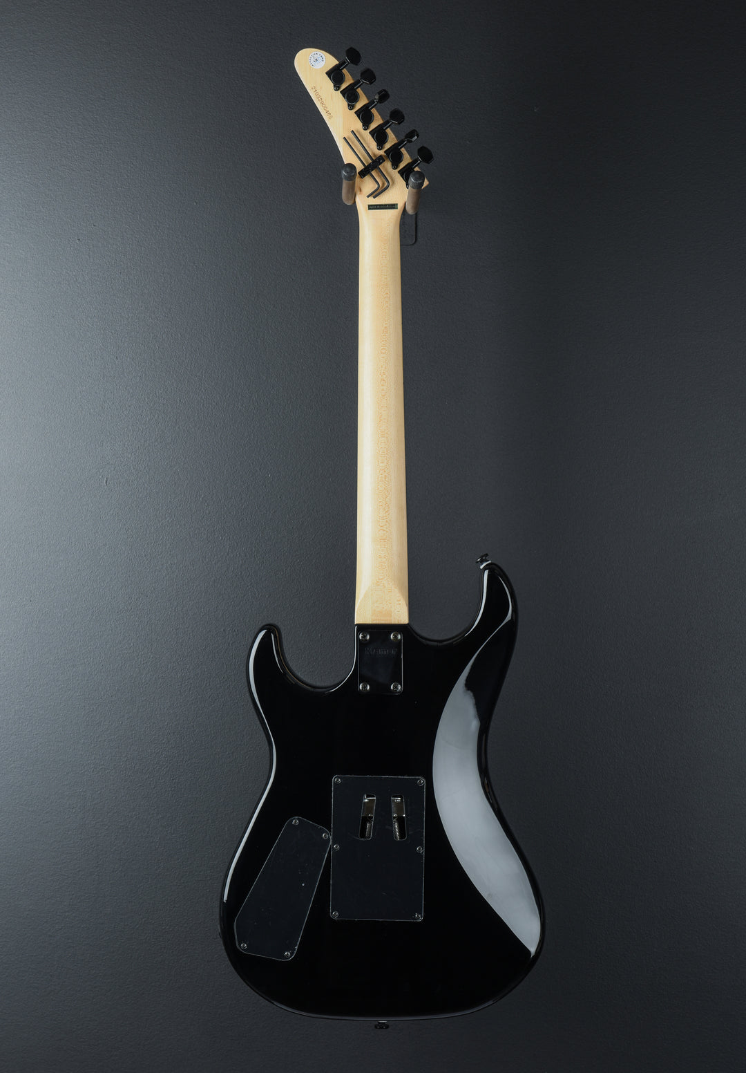 Baretta "Feral Cat" Custom Graphic w/ EVH D-Tuna - Rainbow Leopard