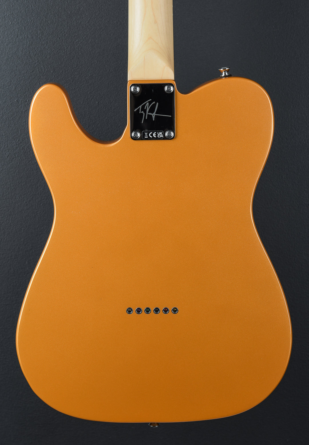 Paranormal Troy Van Leeuwen Telecaster XII - Copper Age