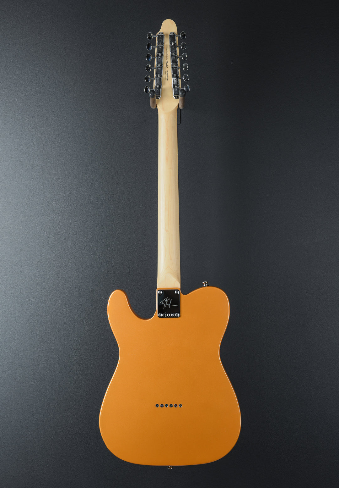 Paranormal Troy Van Leeuwen Telecaster XII - Copper Age