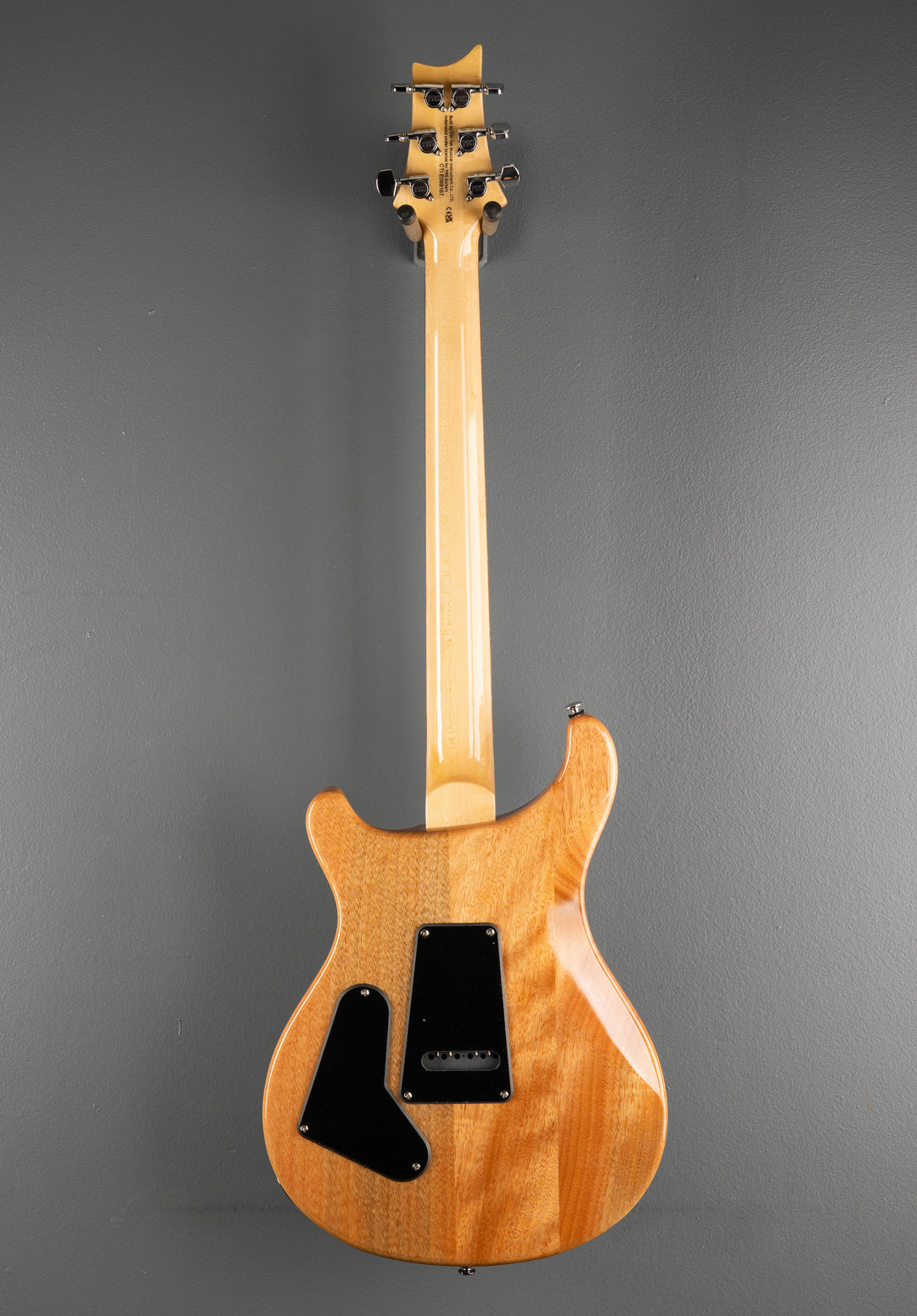 SE Custom 24 &