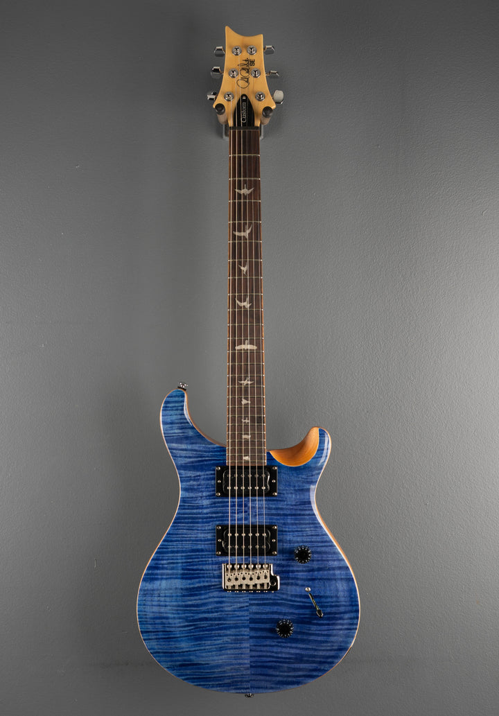 SE Custom 24 &