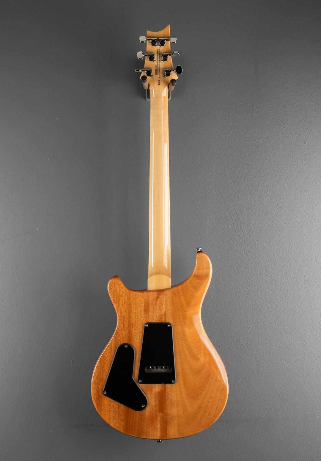 SE Custom 24 &