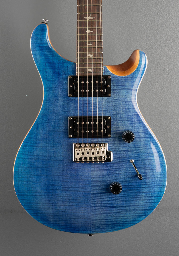 SE Custom 24 &