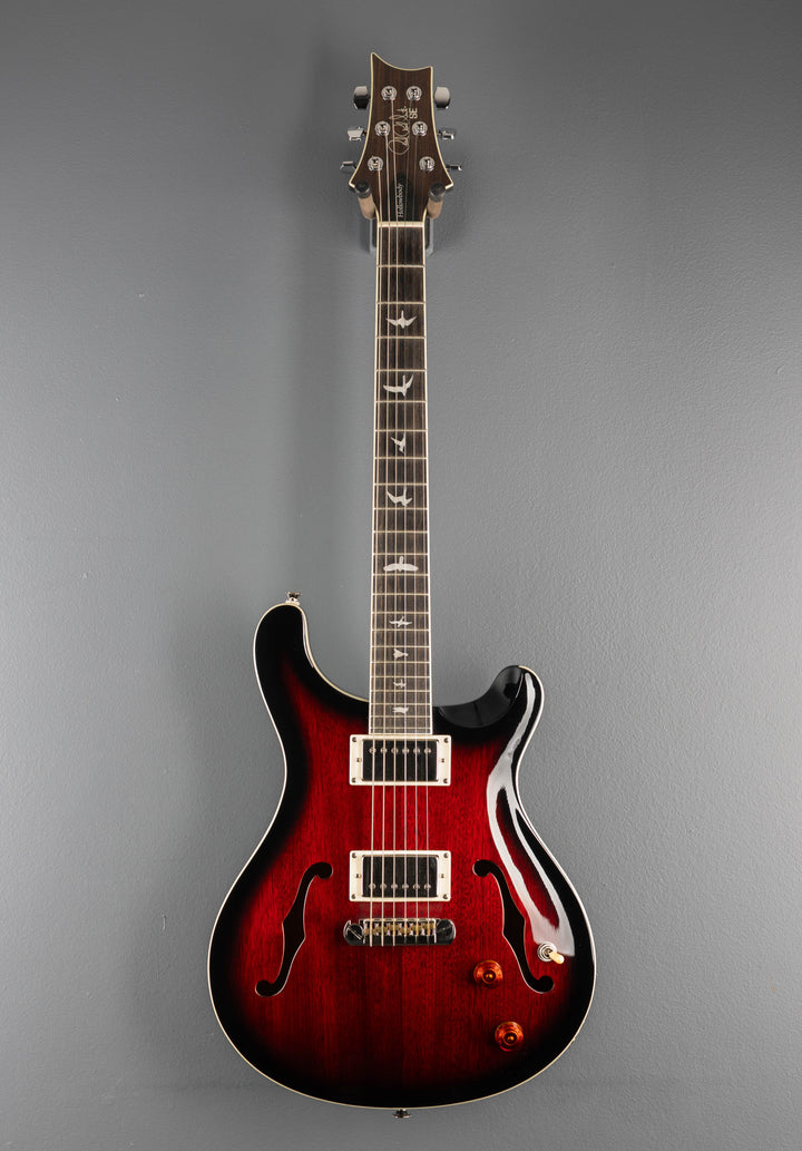SE Hollowbody Standard &