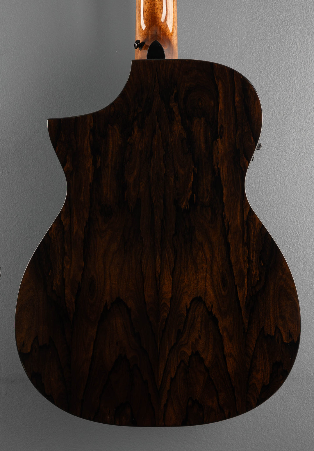 Forte Port 12 Randy Jackson of Zebra Signature - Natural