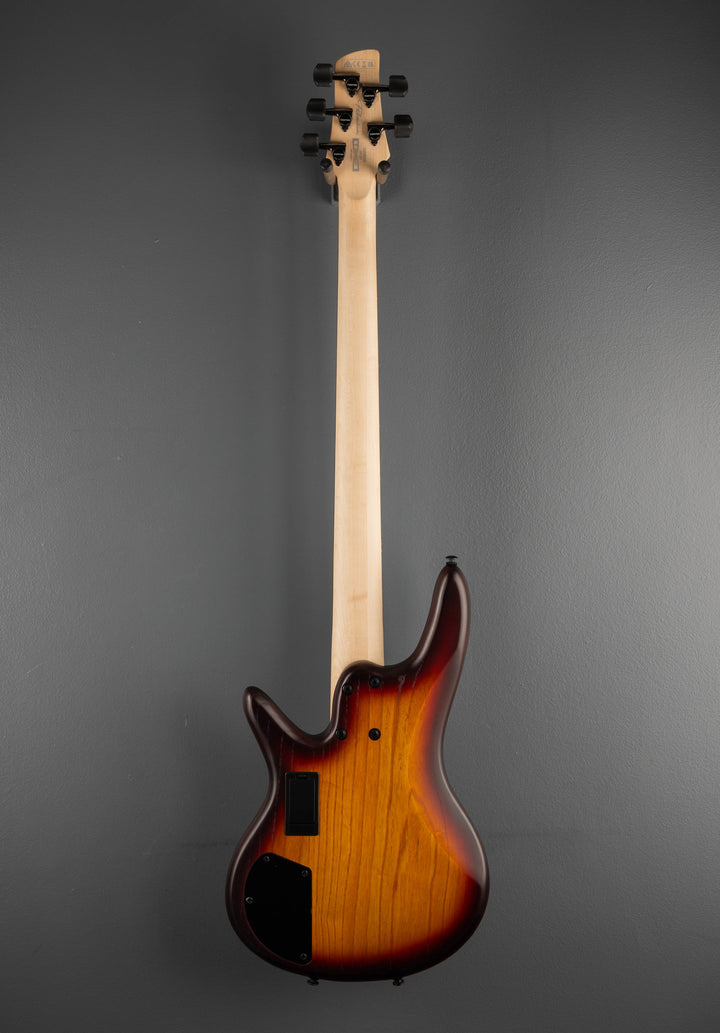 Gary Willis GWB205 5 String Fretless Bass - Tequila Sunrise Flat