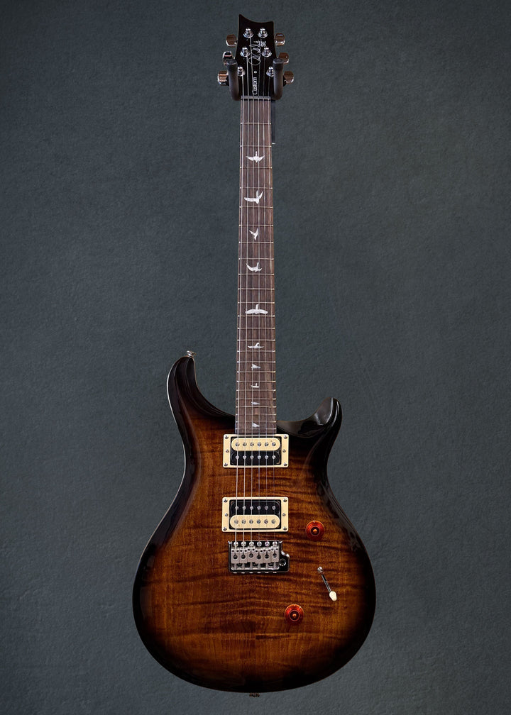 SE Custom 24, &