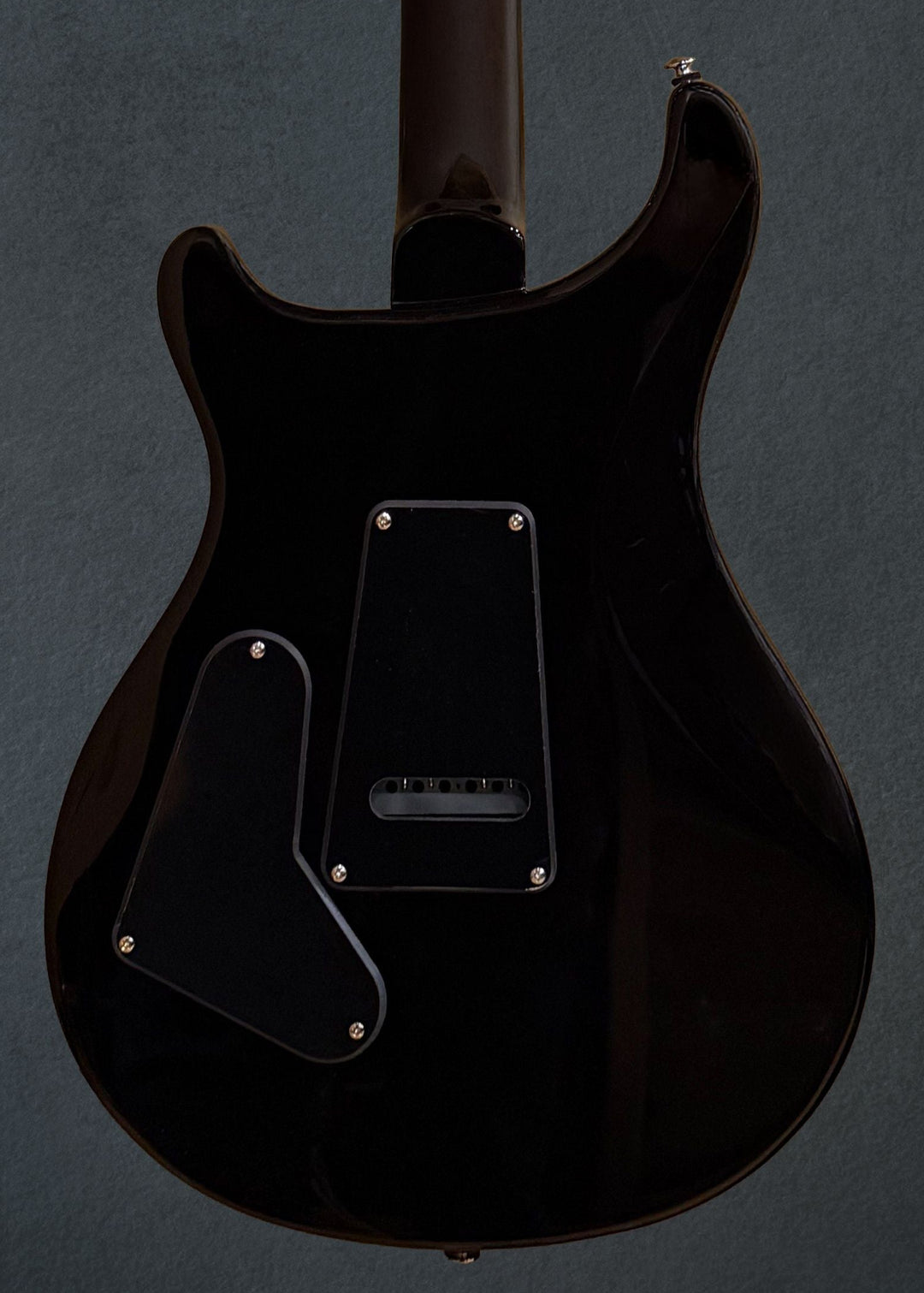 SE Custom 24, &