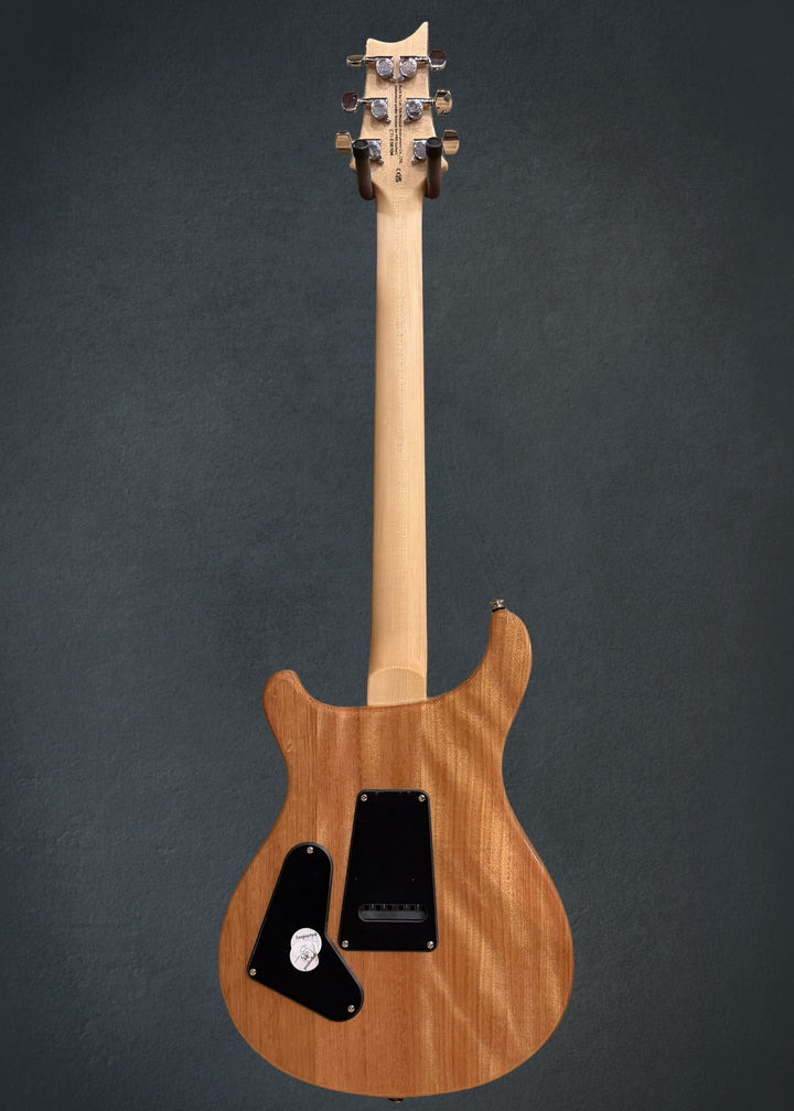 SE Custom 24 &