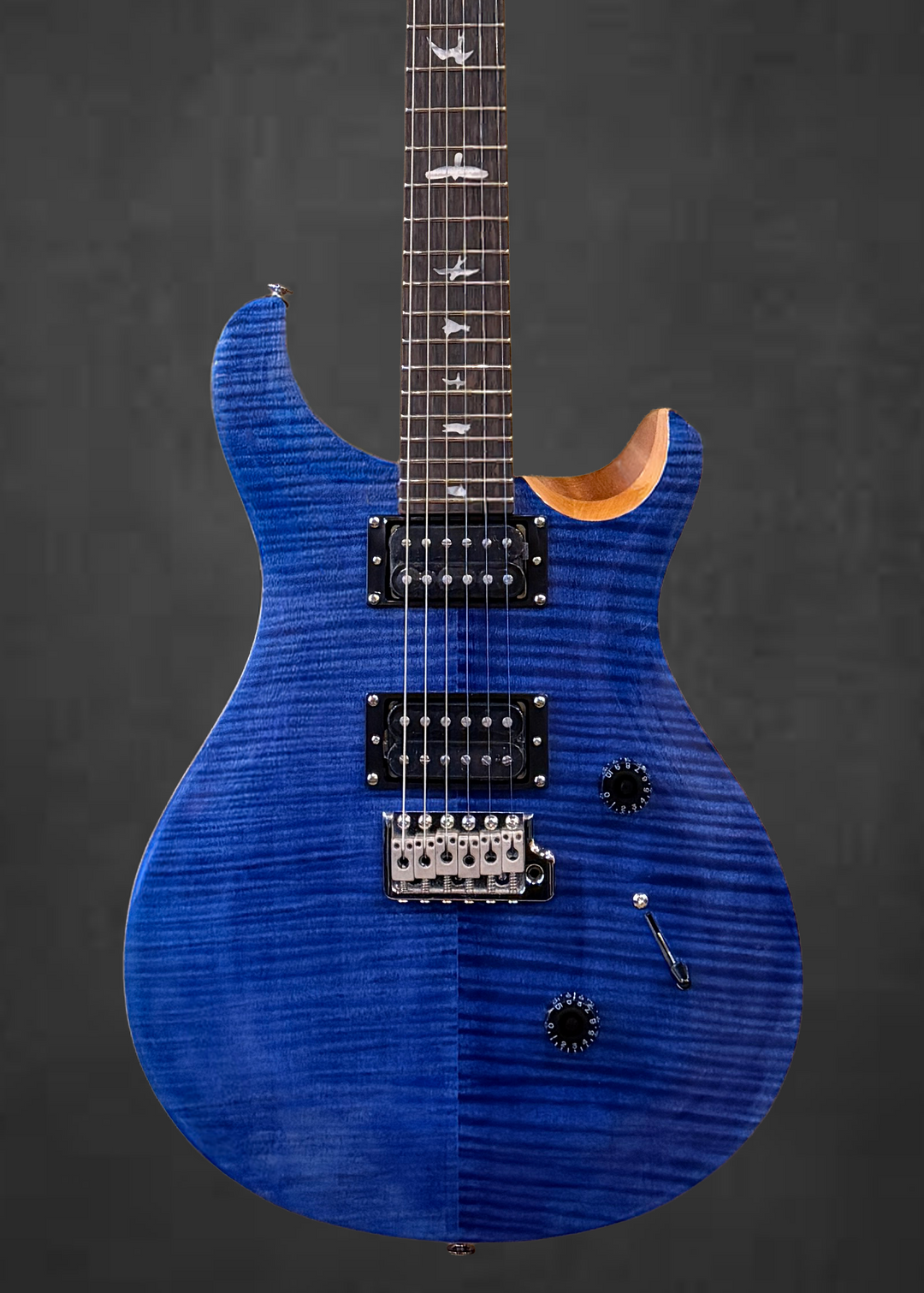 SE Custom 24 &