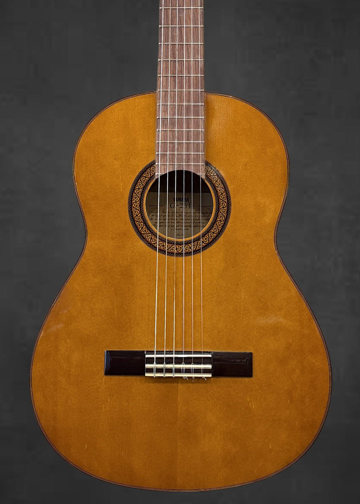 G-231 Classical, Recent