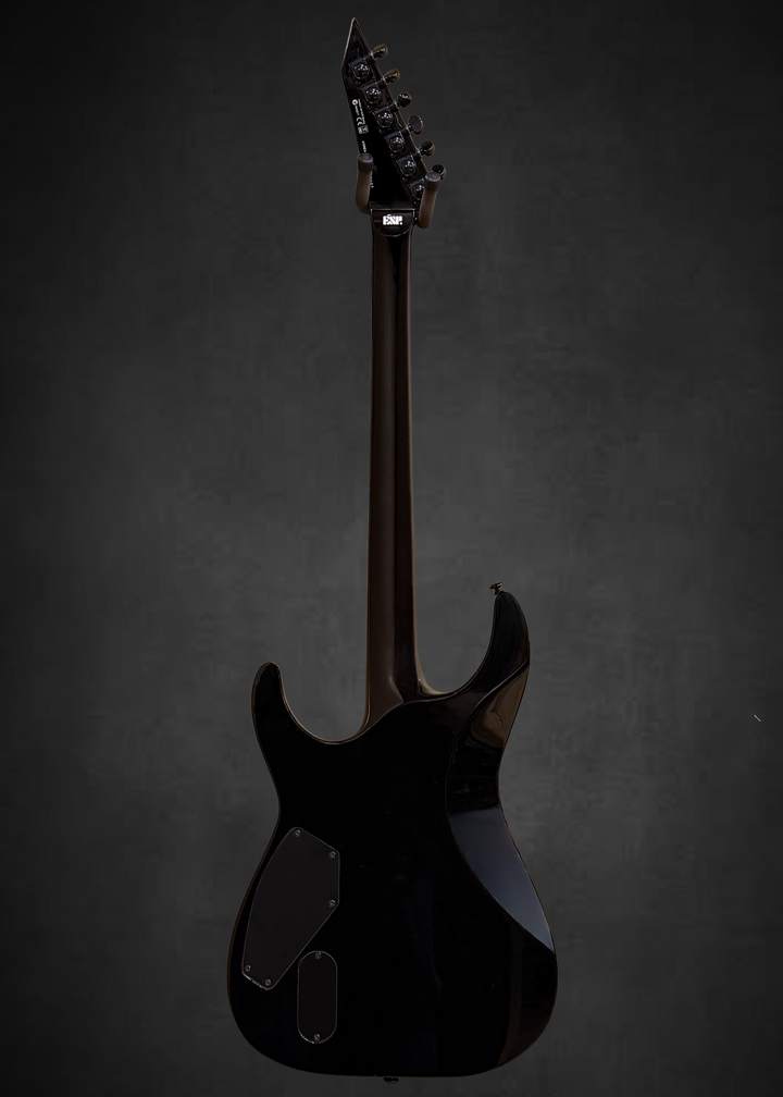 Jeff Hanneman JH-600 CTM, Recent