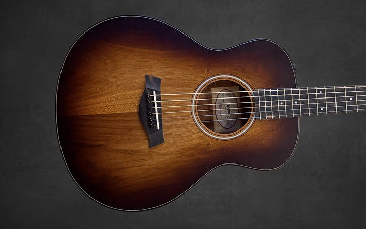 USED GS Mini-E Koa Plus &