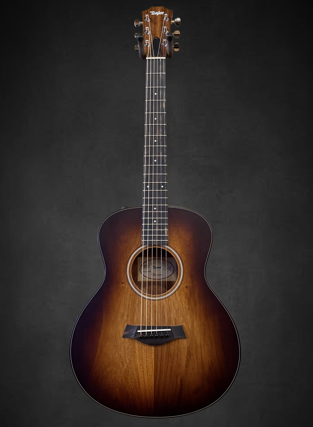 USED GS Mini-E Koa Plus &