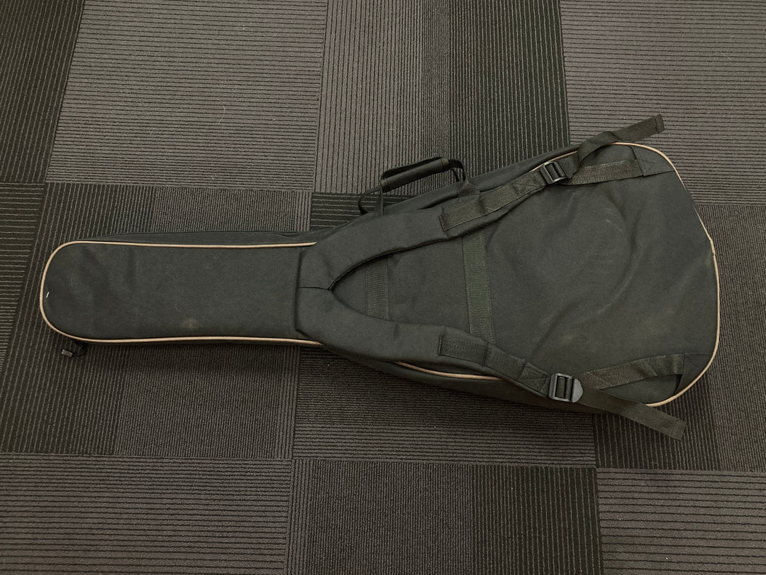 Acoustic Gig Bag