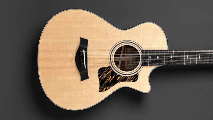 352CE 12 String