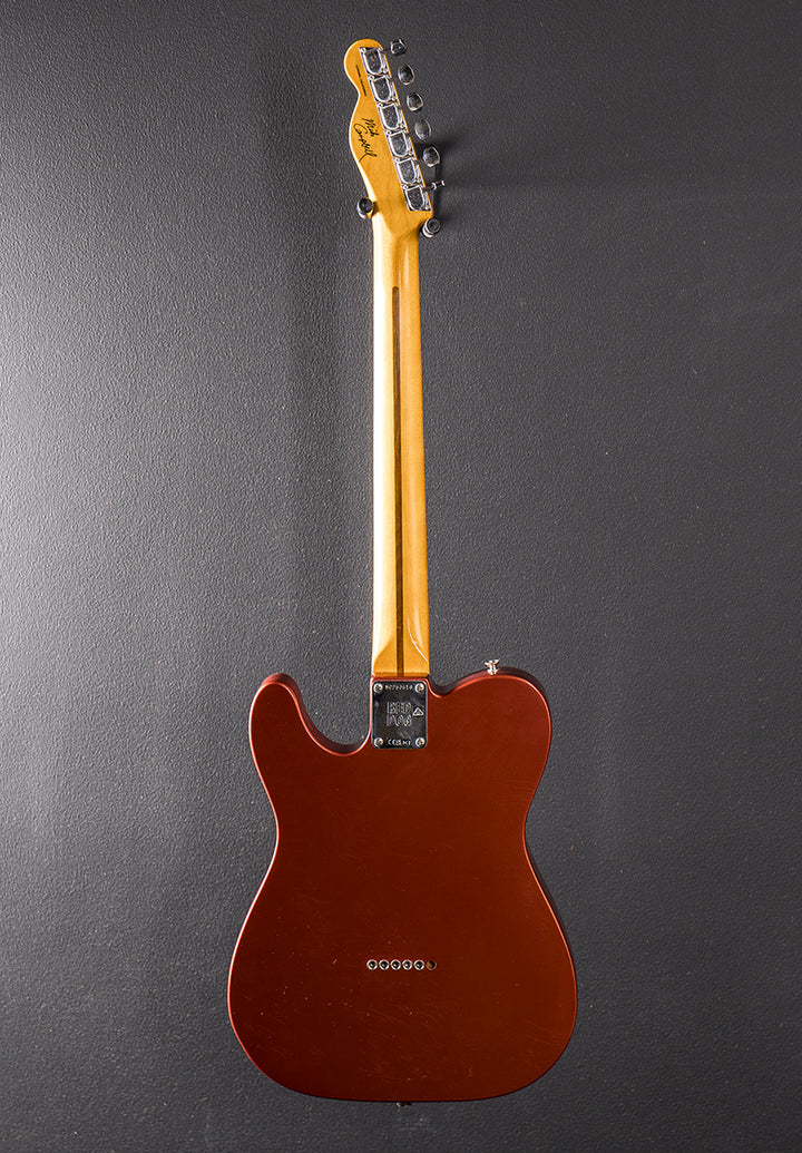 Used Stories Collection Mike Campbell Red Dog Tele &
