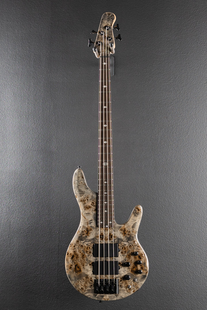 Pinnacle 4 Bass - Grey Burl