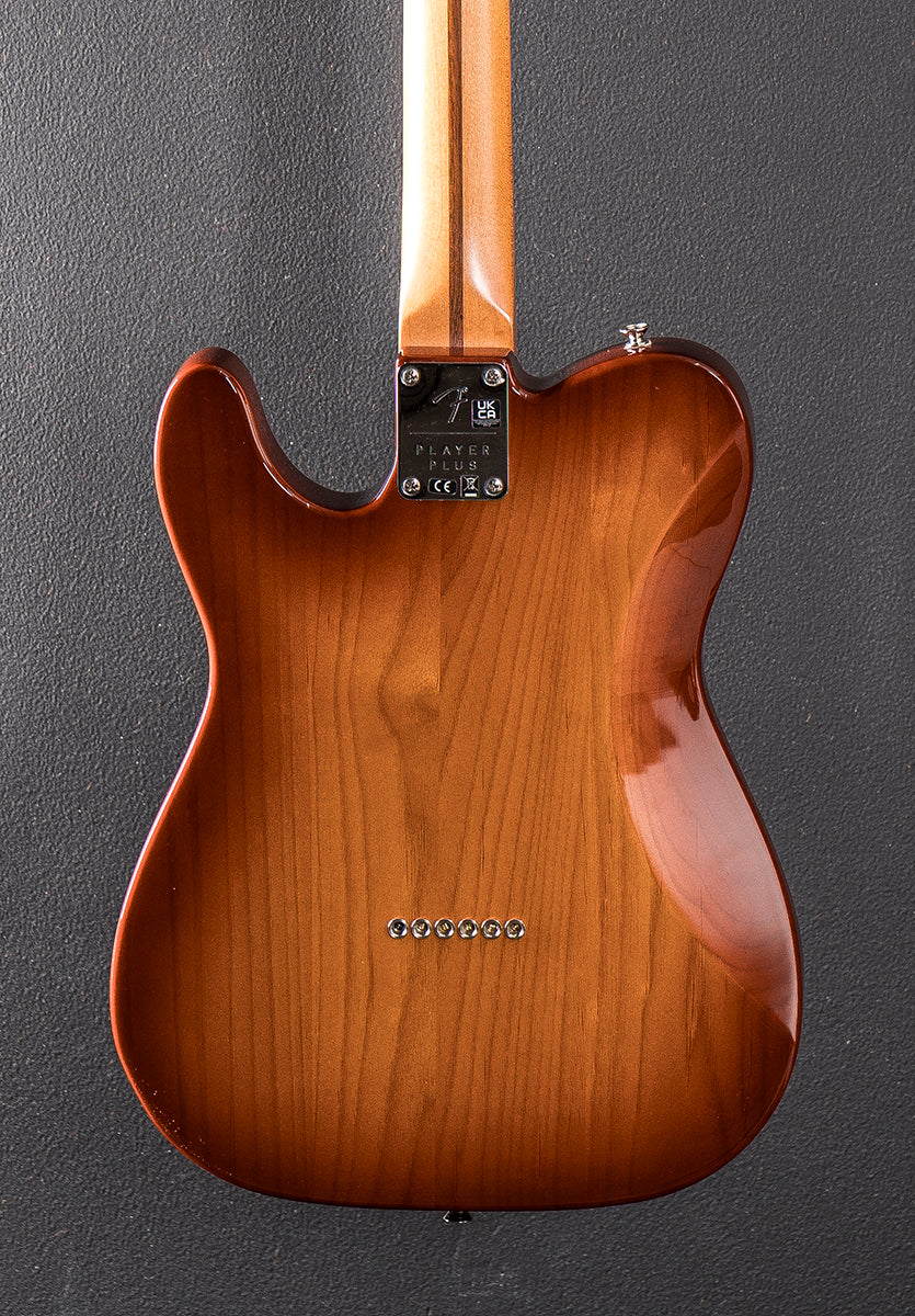 Used Player Plus Nashville Tele &