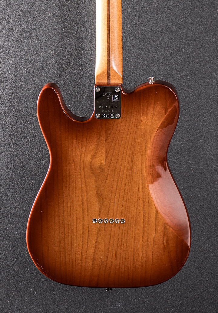 Used Player Plus Nashville Tele &