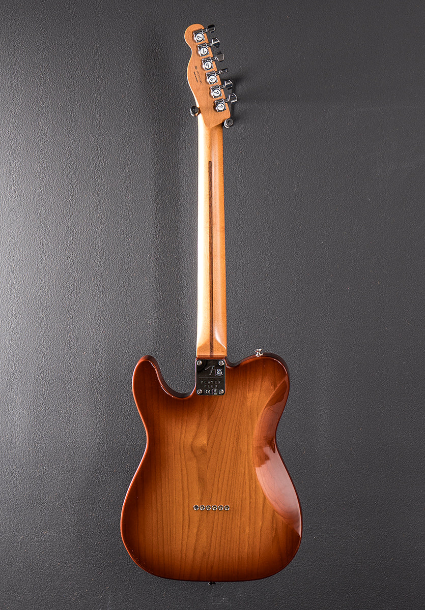 Used Player Plus Nashville Tele &