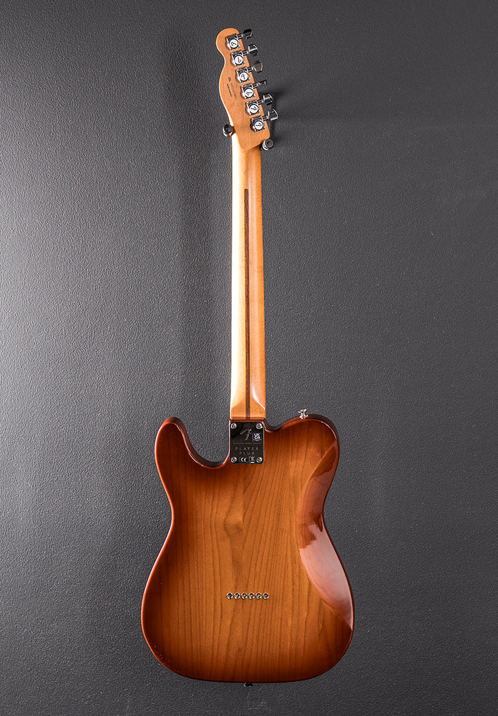 Used Player Plus Nashville Tele &