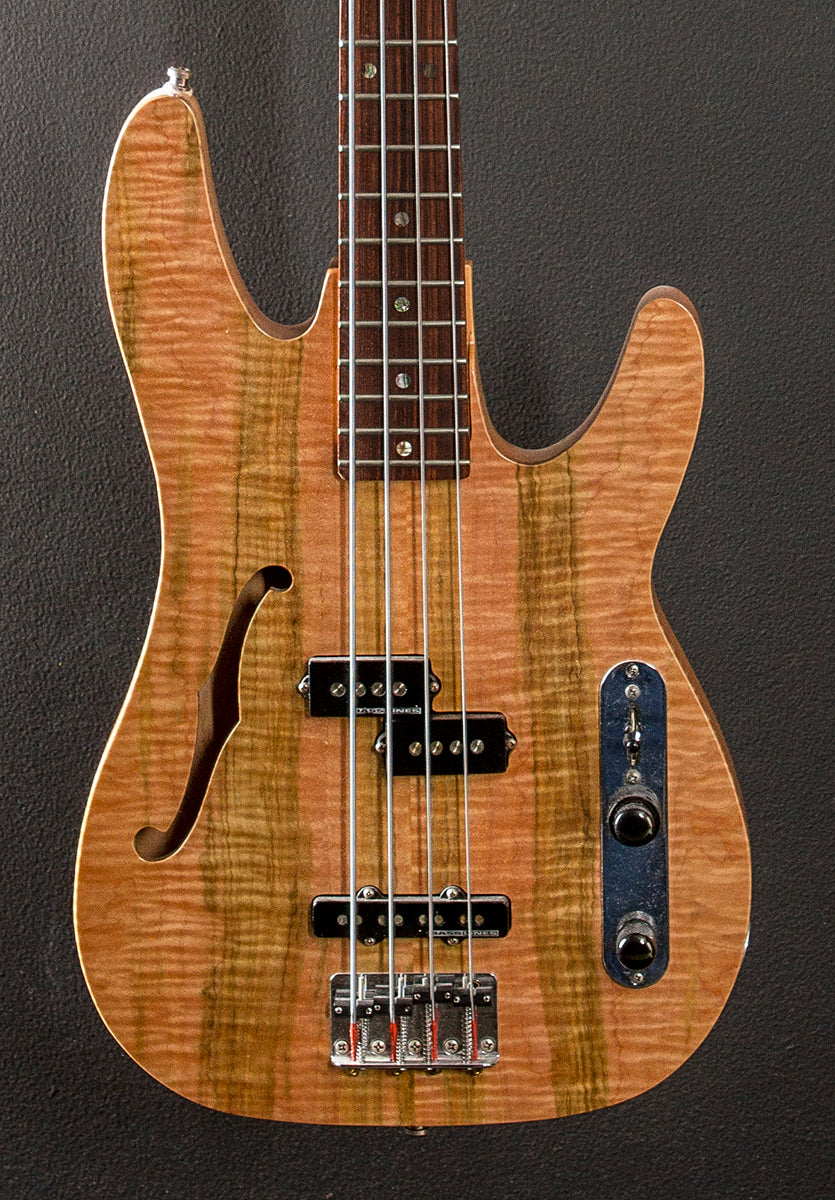 Groove Master Bass &