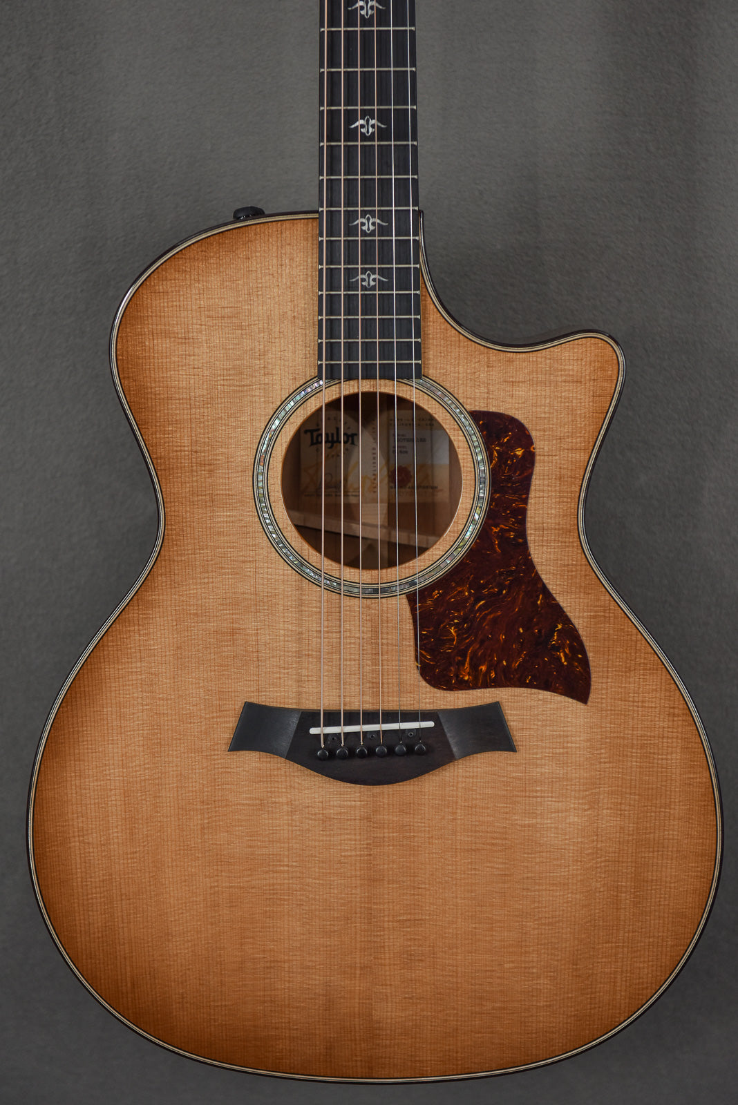 2022 514ce - Urban Ironbark
